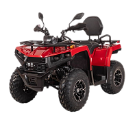 Квадроцикл Bizon YK250 BASIC CARB